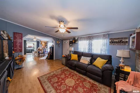 3270 Everglades Ln, Centralia, IL 62801 photo 12