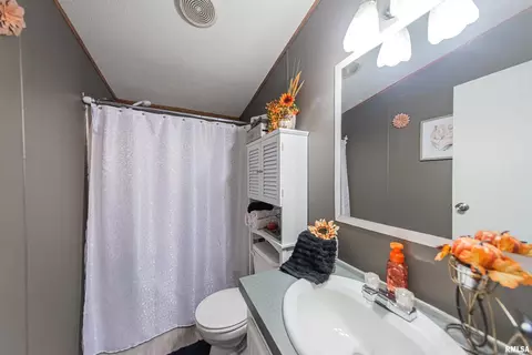3270 Everglades Ln, Centralia, IL 62801 photo 30