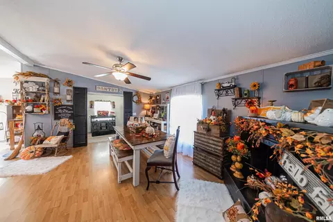 3270 Everglades Ln, Centralia, IL 62801 photo 14