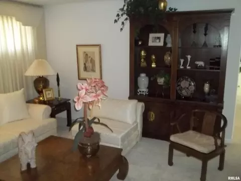 401 E Bond St, Benton, IL 62812 photo 6