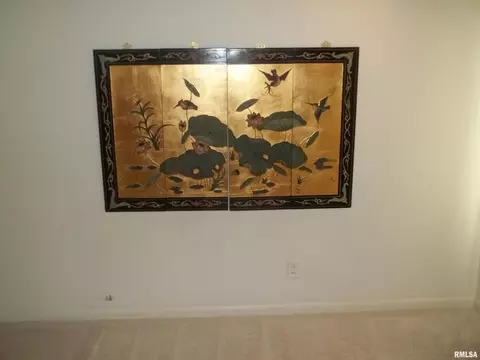 401 E Bond St, Benton, IL 62812 photo 17