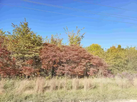 3058 Blue Mound Rd, Flora, IL 62839 photo 65
