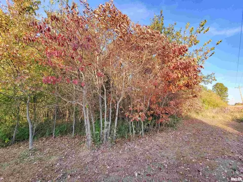 3058 Blue Mound Rd, Flora, IL 62839 photo 8