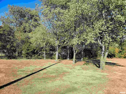 3058 Blue Mound Rd, Flora, IL 62839 photo 63