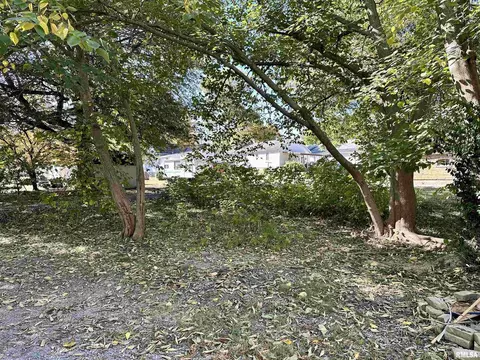 322 E Lewis St, Anna, IL 62906 photo 27