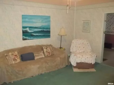 414 E Webster St, Benton, IL 62812 photo 9