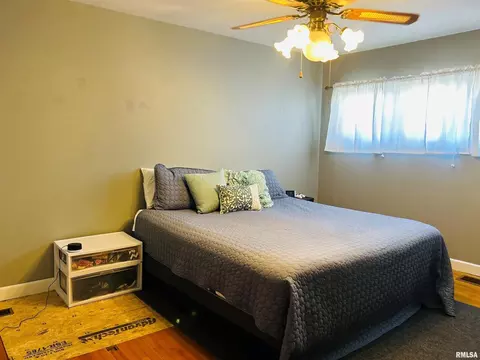 26 Jon St, Metropolis, IL 62960 photo 22