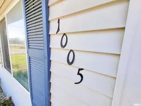 1005 Lamson St, Flora, IL 62839 photo 34
