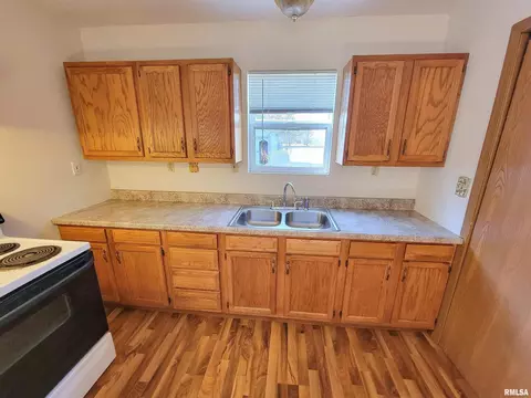1005 Lamson St, Flora, IL 62839 photo 10