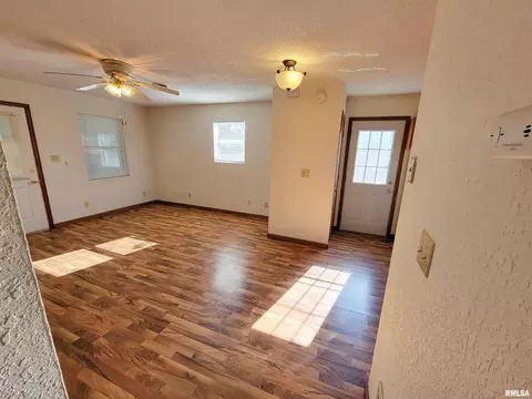 1005 Lamson St, Flora, IL 62839 photo 20