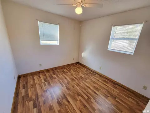 1005 Lamson St, Flora, IL 62839 photo 18
