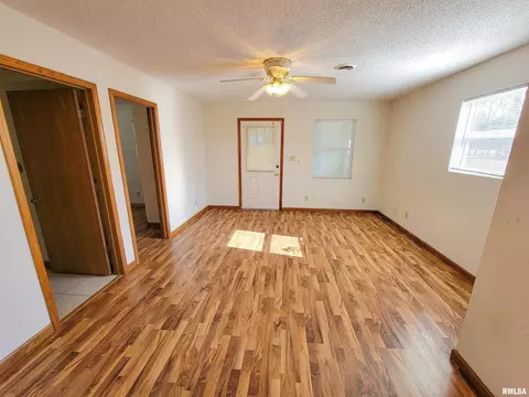 1005 Lamson St, Flora, IL 62839 photo 6