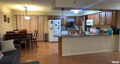 1307 Eads St, Benton, IL 62812 photo 6