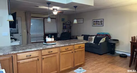 1307 Eads St, Benton, IL 62812 photo 12