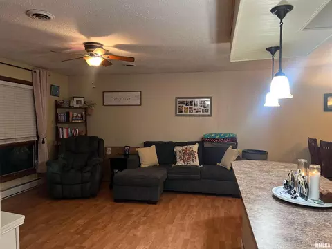 1307 Eads St, Benton, IL 62812 photo 11