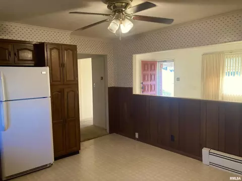 1007 S Carbon St, Marion, IL 62959 photo 4