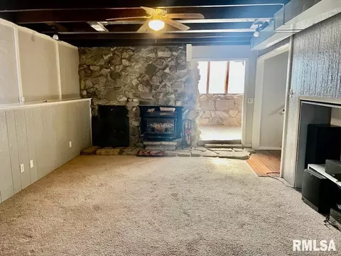 131 Breese St, Centralia, IL 62801 photo 11