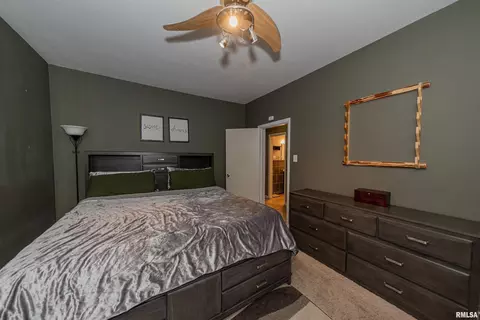 202 W Helen Ave, Christopher, IL 62822 photo 10