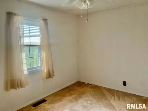 920 Red Stripe Rd, Sandoval, IL 62882 photo 12