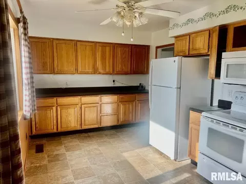 920 Red Stripe Rd, Sandoval, IL 62882 photo 5