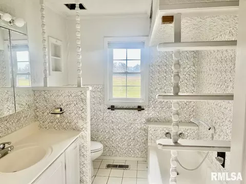 920 Red Stripe Rd, Sandoval, IL 62882 photo 16