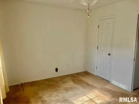 920 Red Stripe Rd, Sandoval, IL 62882 photo 13