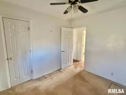 920 Red Stripe Rd, Sandoval, IL 62882 photo 15