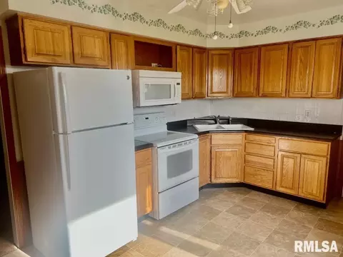 920 Red Stripe Rd, Sandoval, IL 62882 photo 6