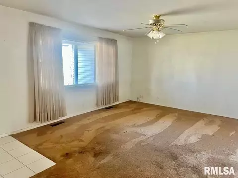 920 Red Stripe Rd, Sandoval, IL 62882 photo 8