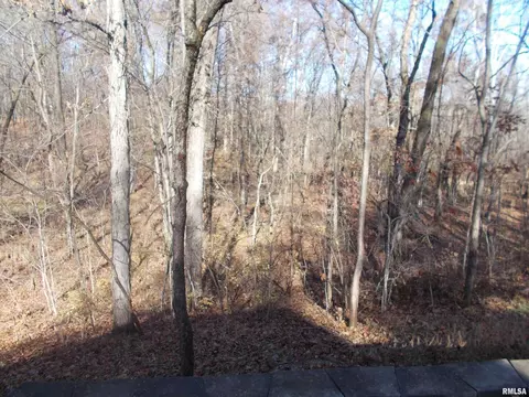 407 Casey Rd, Murphysboro, IL 62966 photo 67