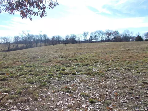 407 Casey Rd, Murphysboro, IL 62966 photo 52