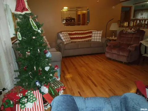 407 Casey Rd, Murphysboro, IL 62966 photo 3