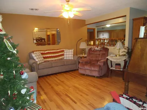 407 Casey Rd, Murphysboro, IL 62966 photo 2