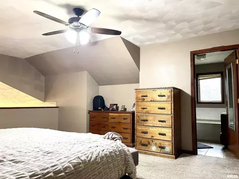 4629 Hotze Rd, Salem, IL 62881 photo 27