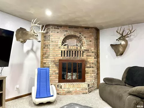 4629 Hotze Rd, Salem, IL 62881 photo 42