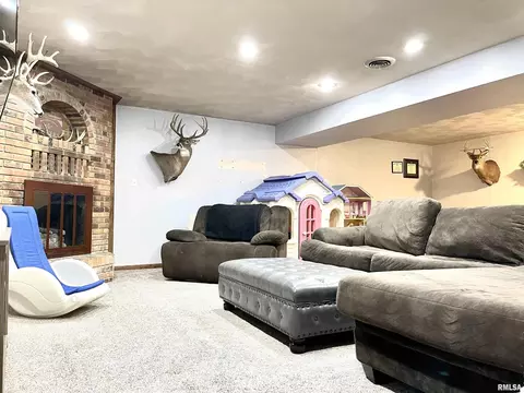 4629 Hotze Rd, Salem, IL 62881 photo 41