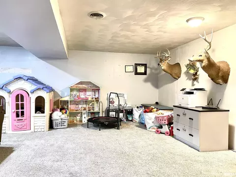 4629 Hotze Rd, Salem, IL 62881 photo 45