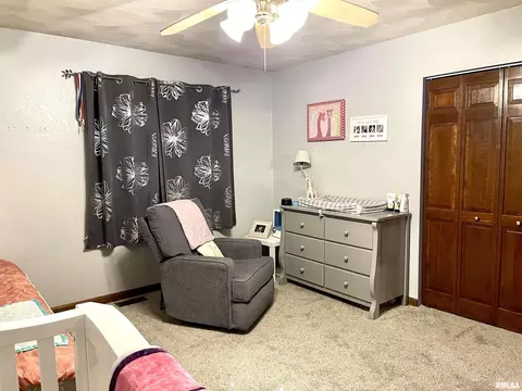 4629 Hotze Rd, Salem, IL 62881 photo 38