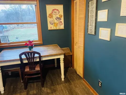 913 E 1150th Rd, Shobonier, IL 62885 photo 31