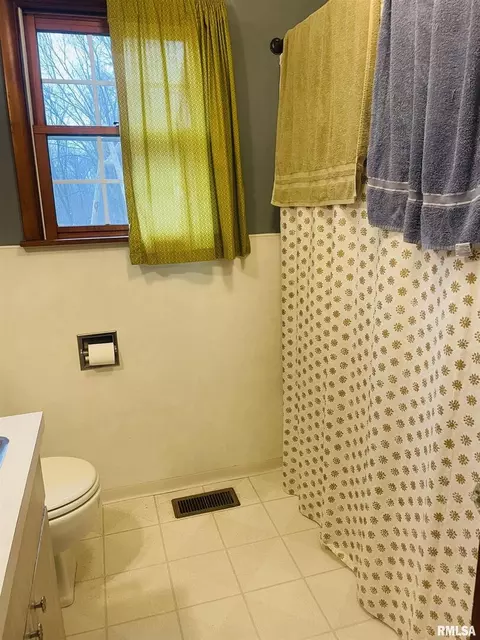 913 E 1150th Rd, Shobonier, IL 62885 photo 53