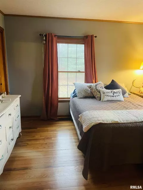 913 E 1150th Rd, Shobonier, IL 62885 photo 41