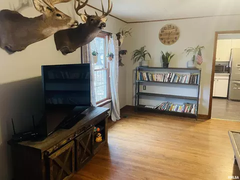 913 E 1150th Rd, Shobonier, IL 62885 photo 38