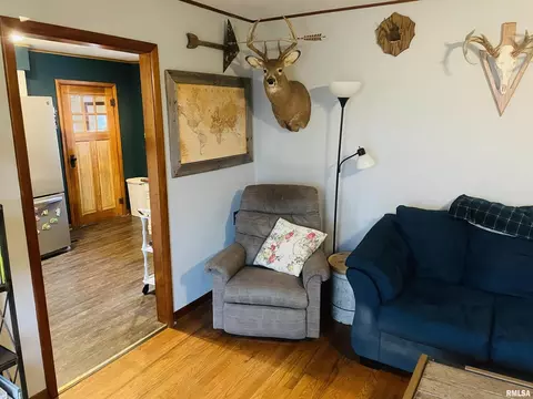 913 E 1150th Rd, Shobonier, IL 62885 photo 33