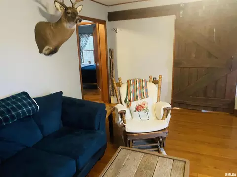 913 E 1150th Rd, Shobonier, IL 62885 photo 35