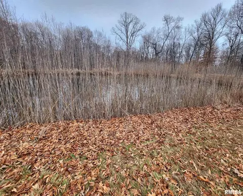 19138 E Divide Rd, Bluford, IL 62889 photo 11