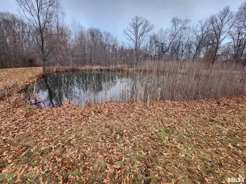 19138 E Divide Rd, Bluford, IL 62889 photo 9