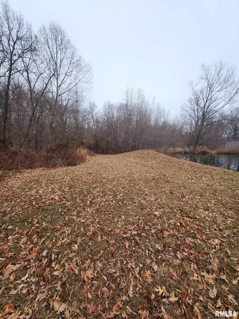 19138 E Divide Rd, Bluford, IL 62889 photo 7