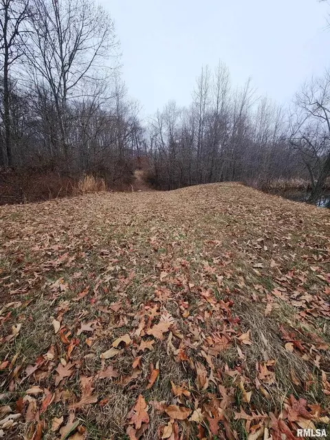 19138 E Divide Rd, Bluford, IL 62889 photo 8