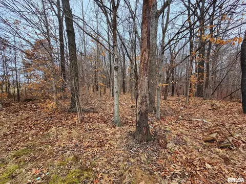 19138 E Divide Rd, Bluford, IL 62889 photo 5