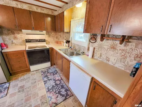 1011 Lamson St, Flora, IL 62839 photo 20